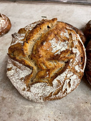 Afbeeldingen van Emmerbrood 800 gram